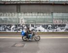 Un giardino particolare. Guerrilla Spam per Cheap in Bolognina